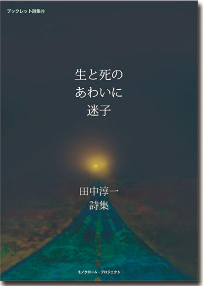第29巻 田中淳一詩集 『生と死のあわいに迷子』